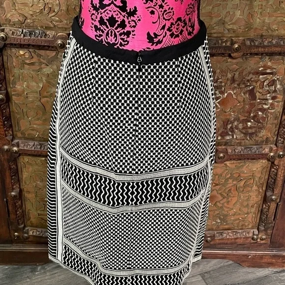 BCBG skirt size 2 new‎ - Picture 2 of 7